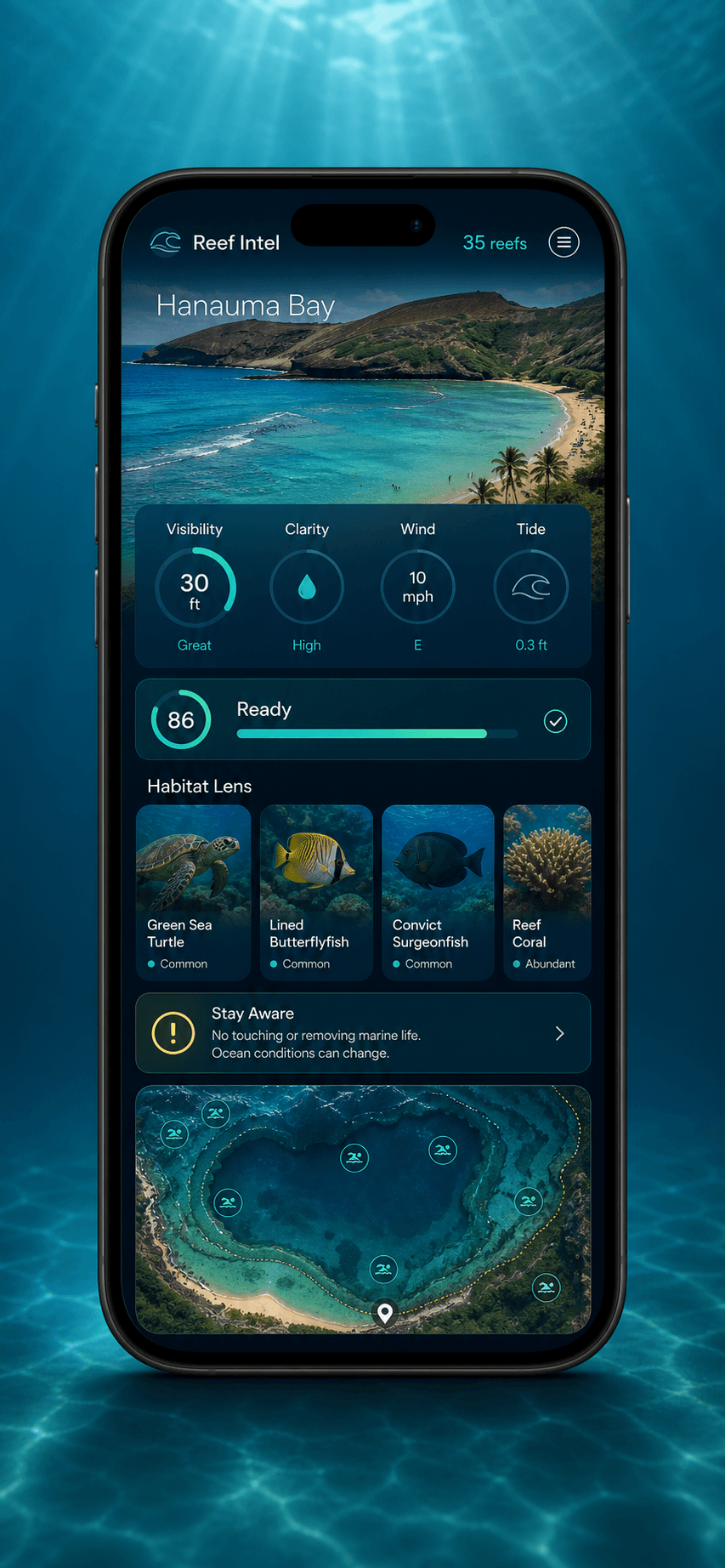 Snorkeler's Adventure Pack live reef intelligence map