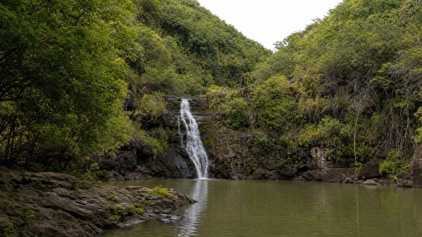 Waimea Valley waterfall surrounded by tropical Oʻahu