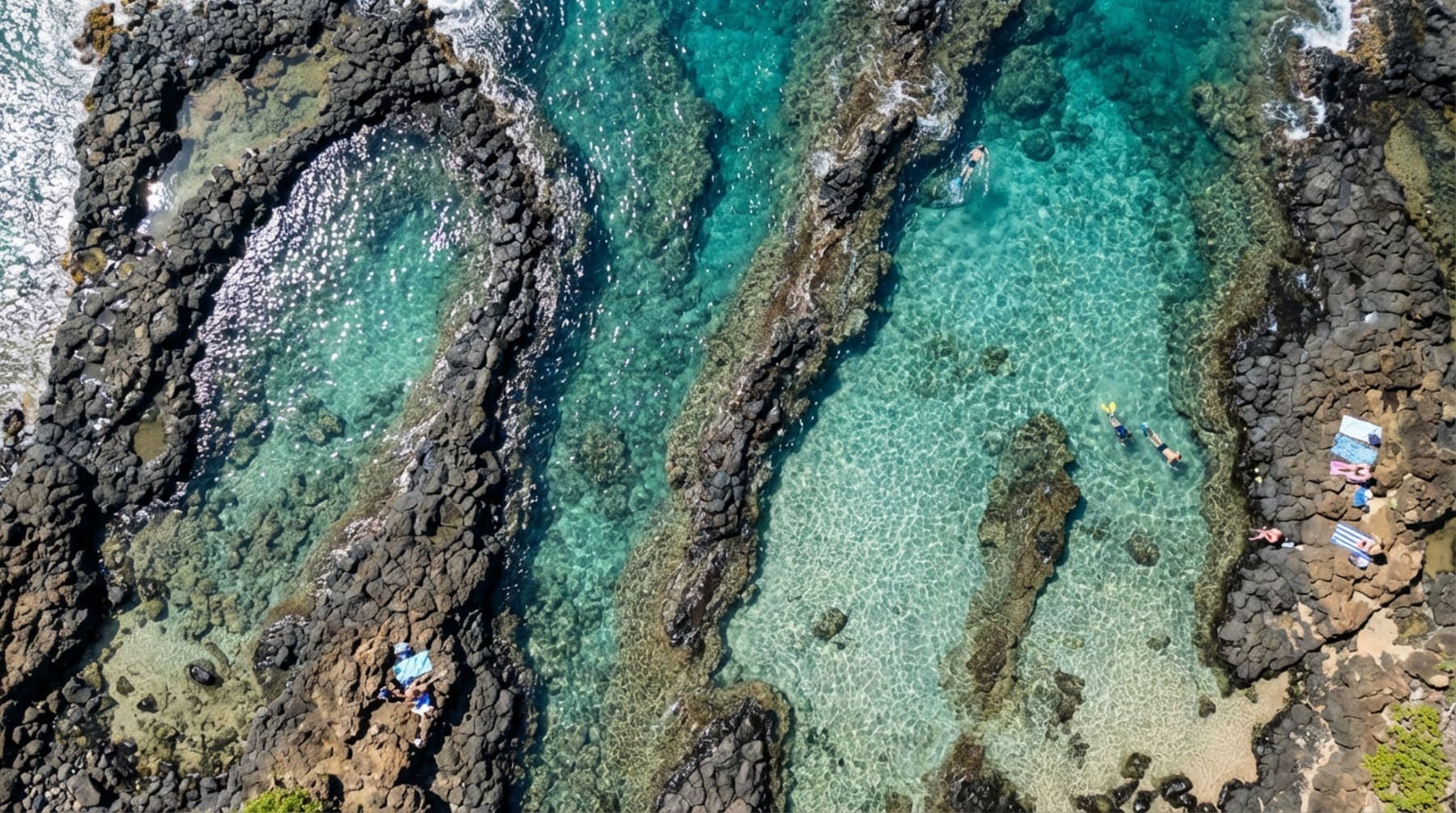 Aerial view of the lava fingers and clear protected pools at Shark's Cove
