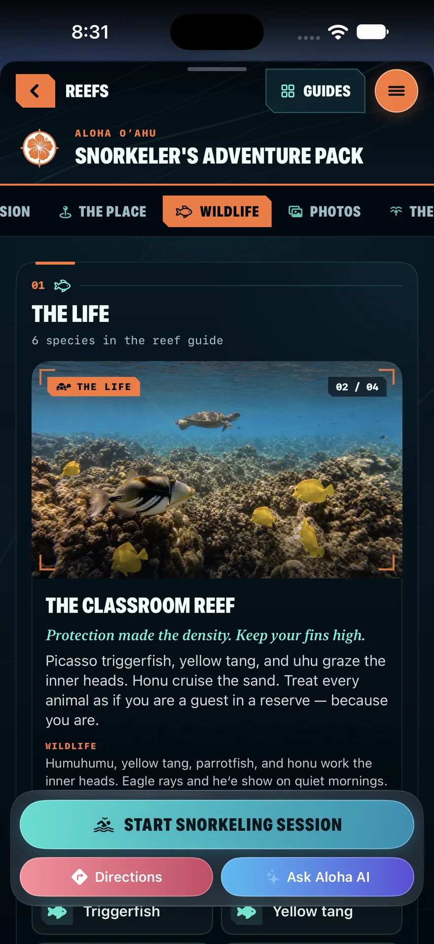 Life on the reef